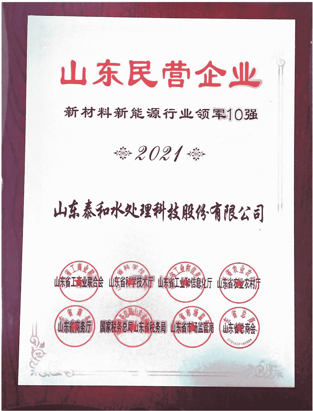 2021年山东民营企业新材料新能源行业领军10强